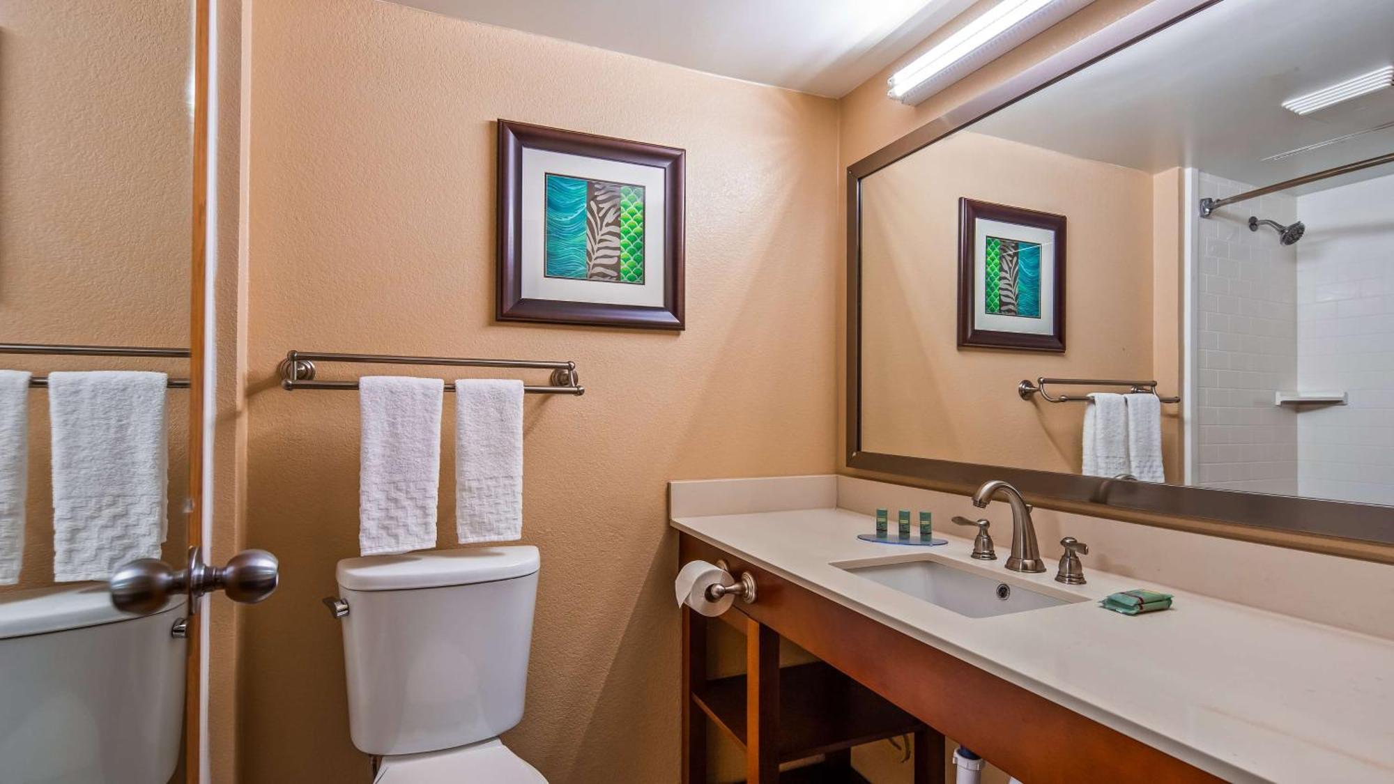 King Room with Spa Bath - Non-Smoking