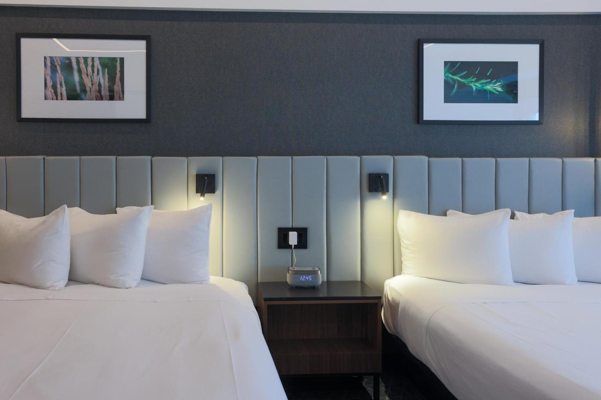 Superior Room 2 Queen Beds
