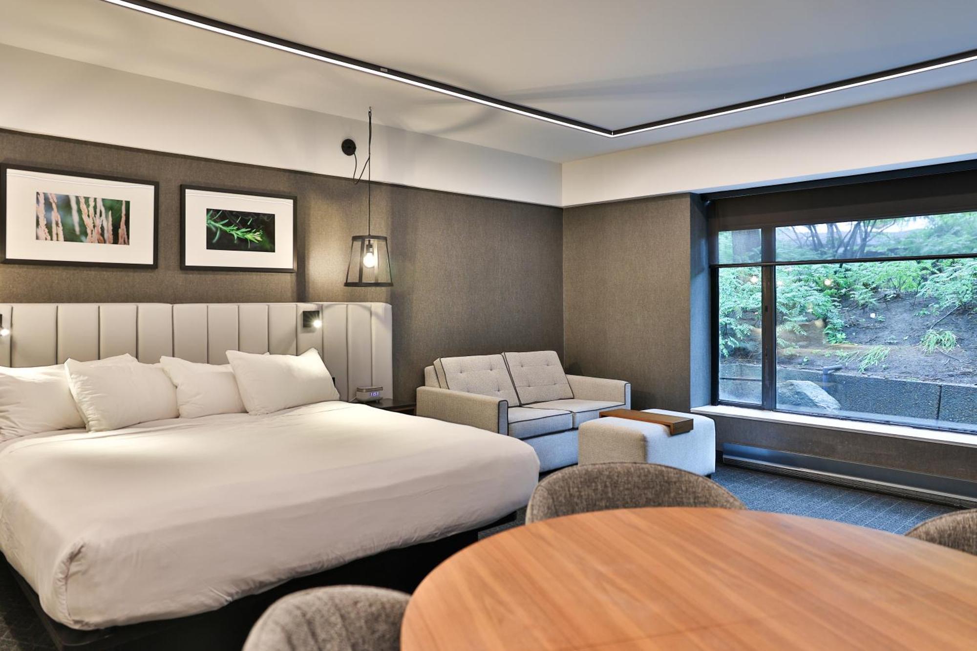 Junior Suite1 King Bed 1 Sofabed