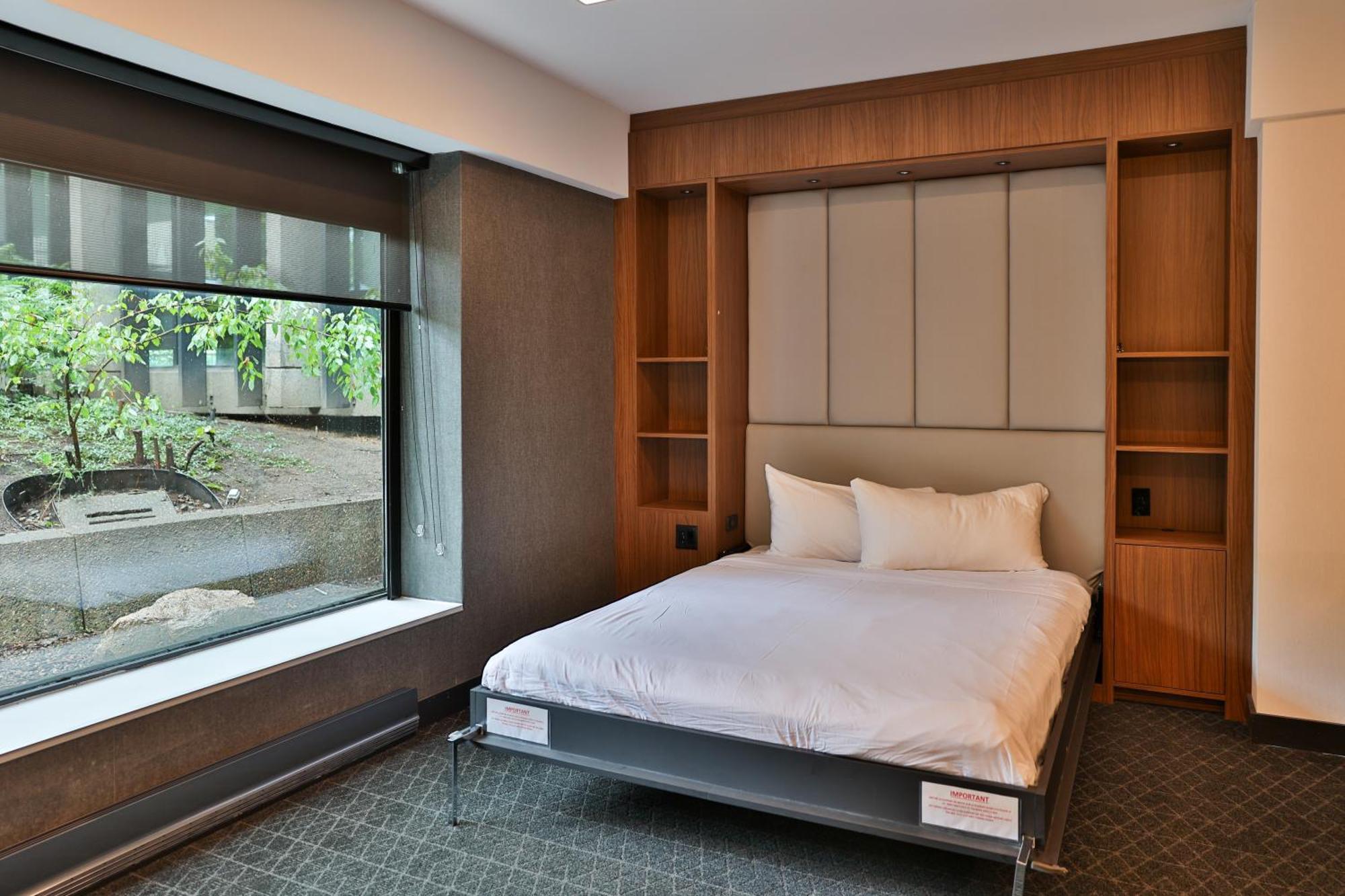 Junior Suite1 King Bed 1 Sofabed