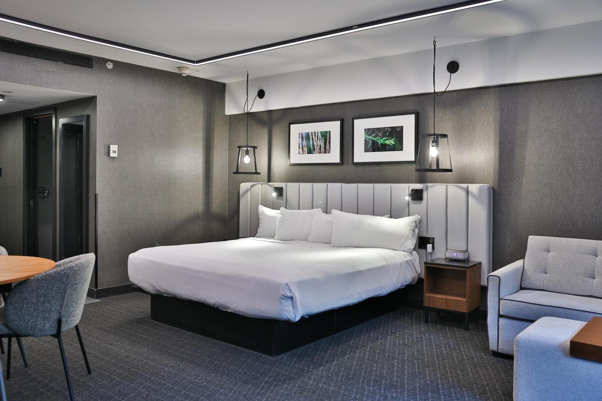 Junior Suite1 King Bed 1 Sofabed