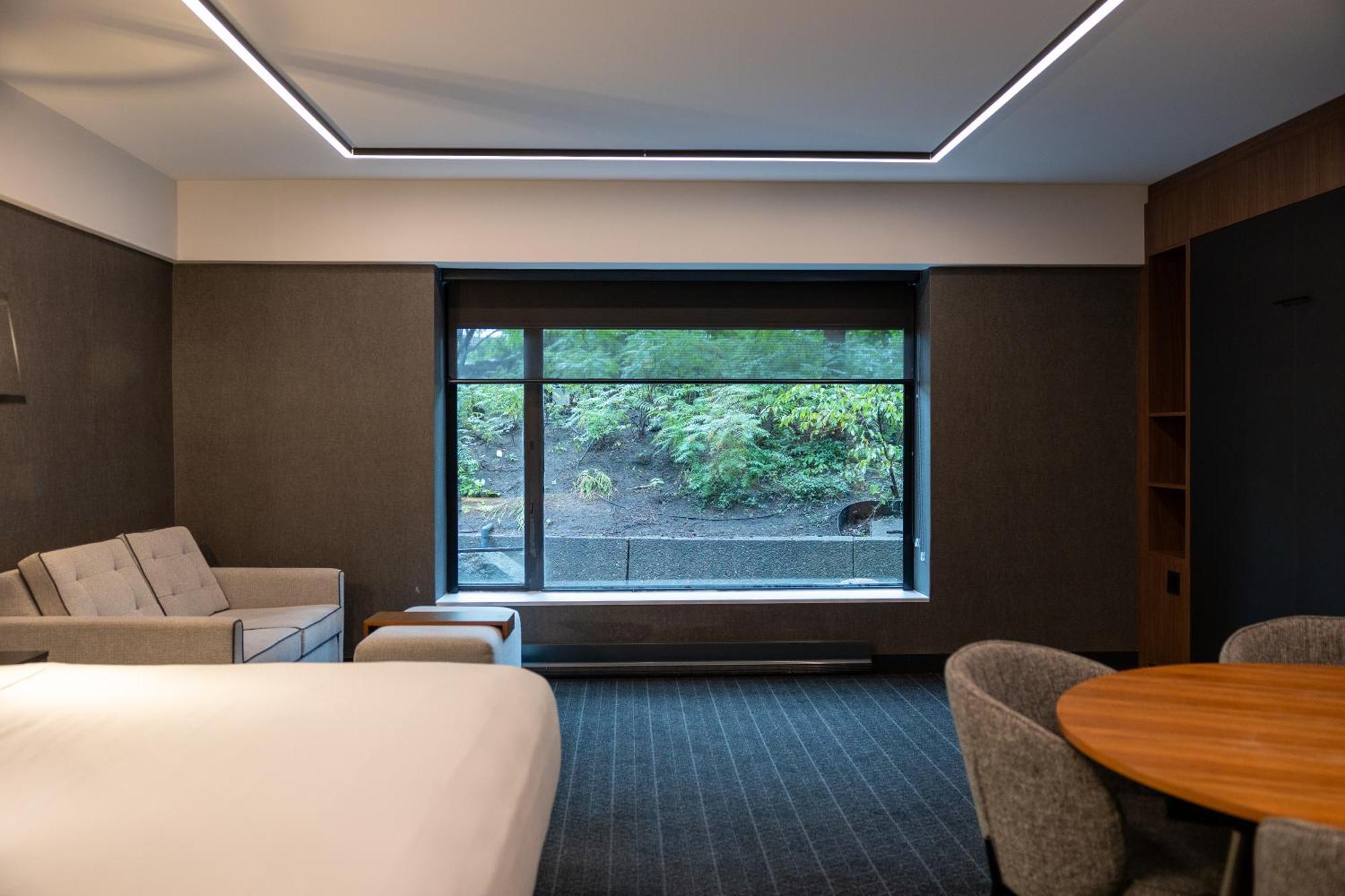 Junior Suite1 King Bed 1 Sofabed