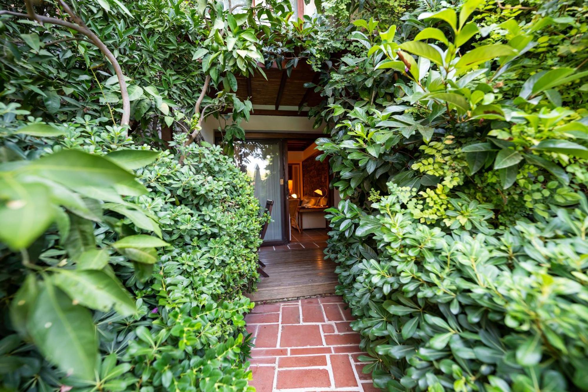 Suite Garden View