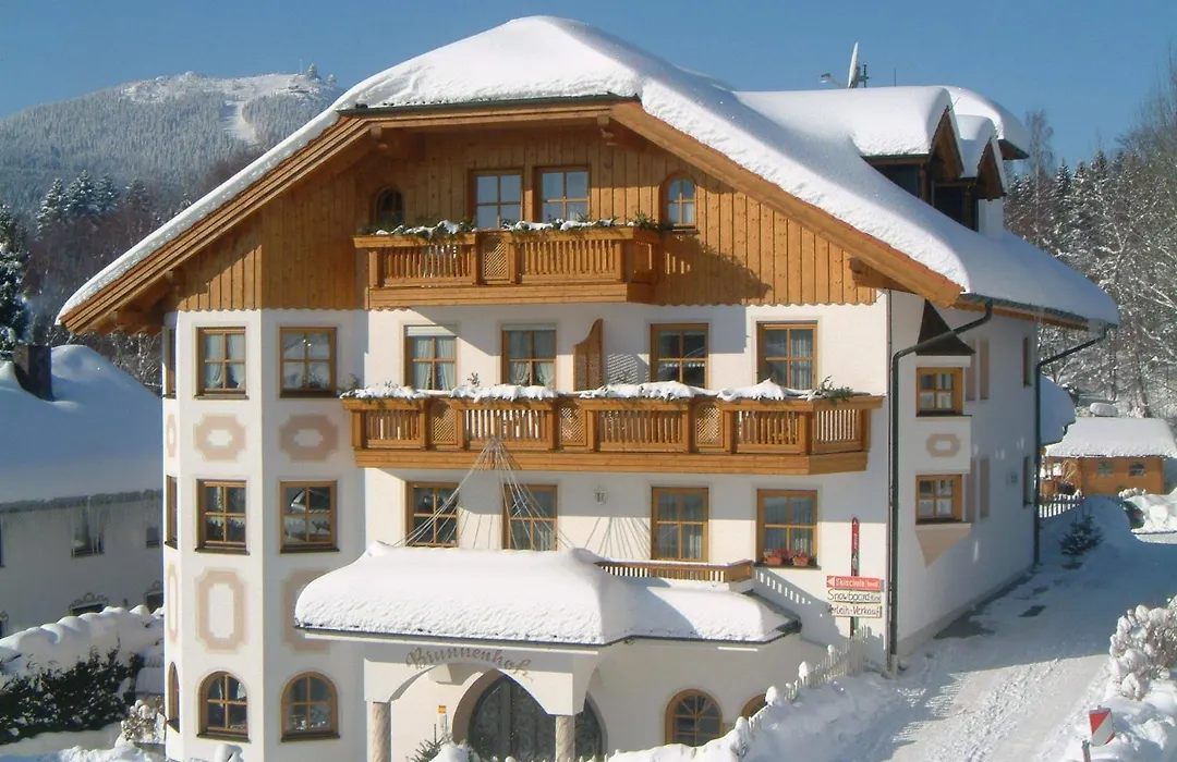 Hotel Brunnenhof-1