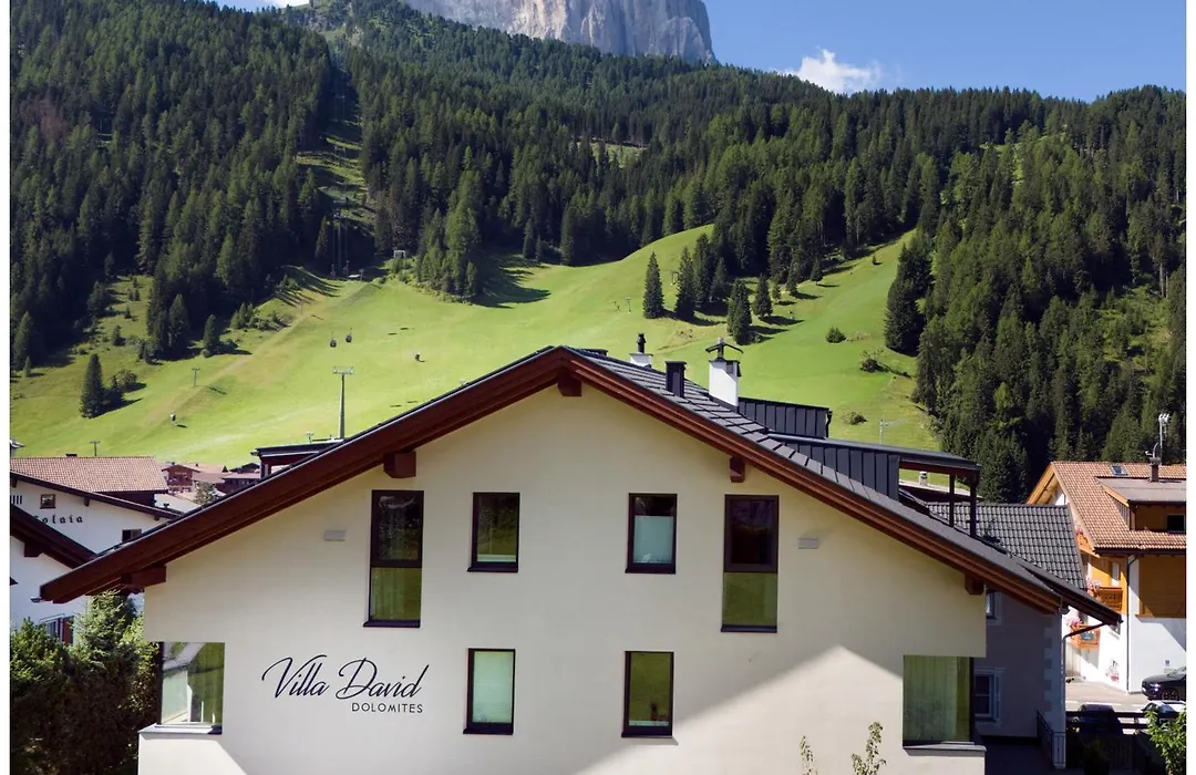 Villa David Dolomites-1