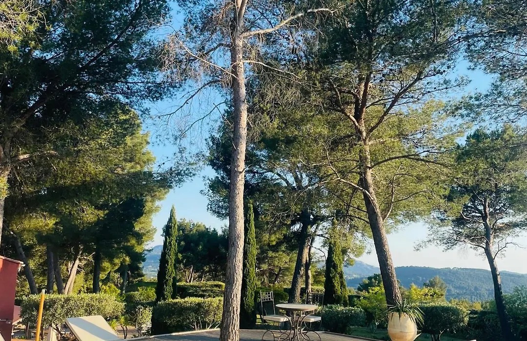 Le Cigalon-1