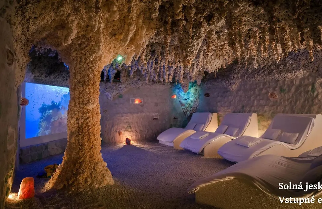Wellness Hotel Frymburk-1