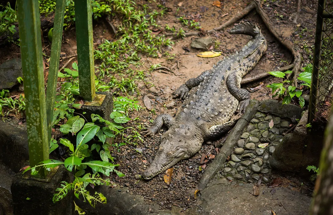 Si Como No Resort & Wildlife Refuge-1