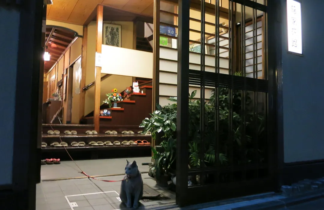 Fujiya Ryokan-1