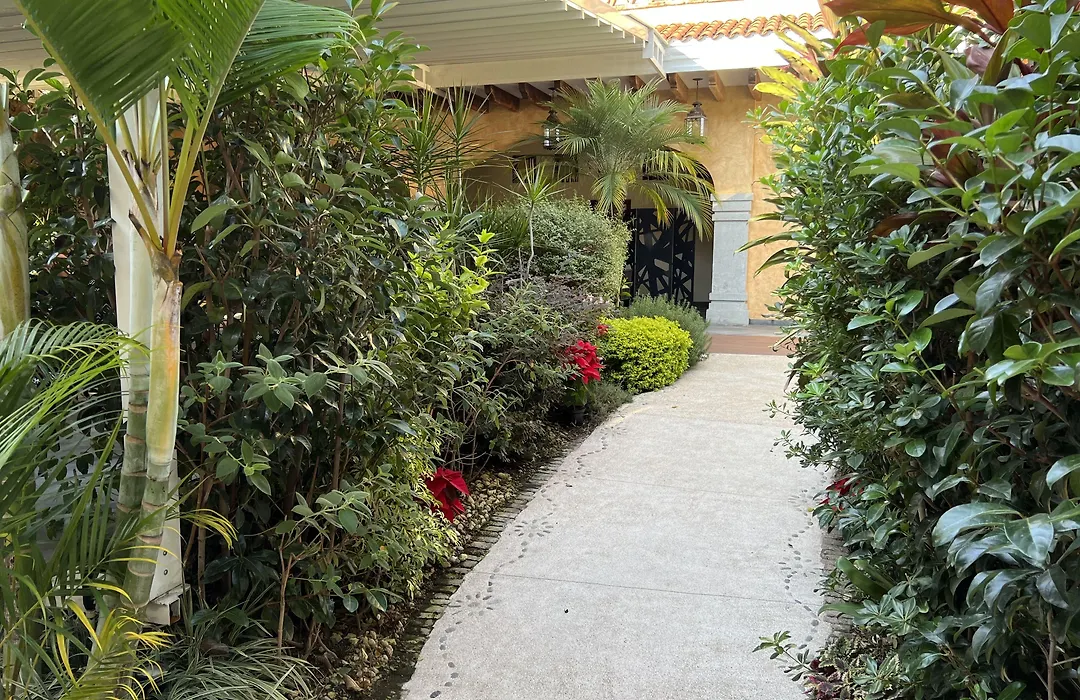 Mesón de las Delicias-1
