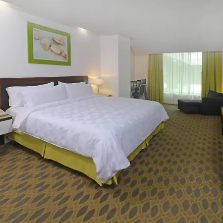 Holiday Inn Queretaro Zona Krystal By Ihg-3