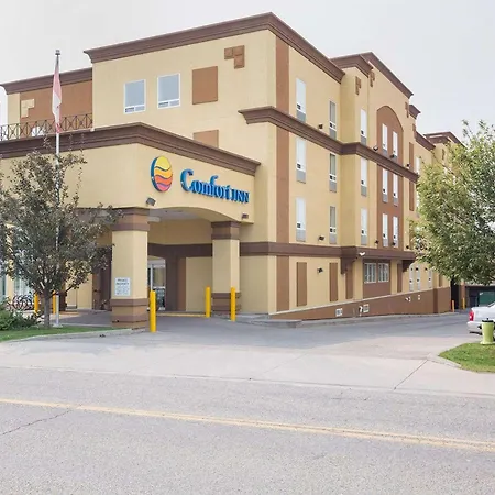 Comfort Inn & Suites University-3