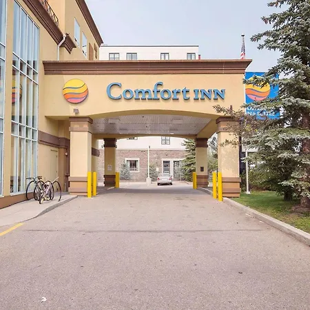 Comfort Inn & Suites University-2