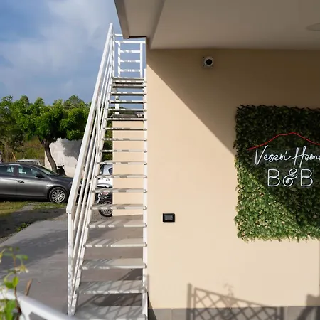 Veseri Home-2