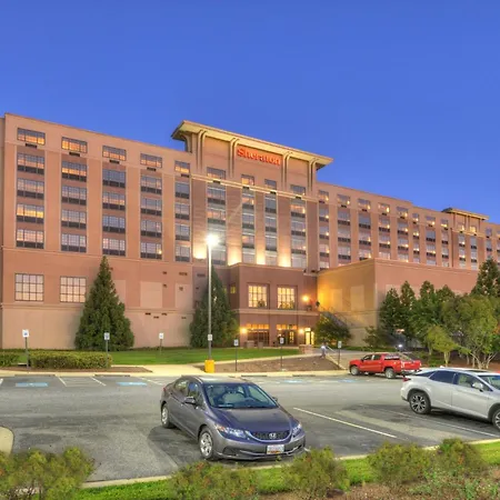 Sheraton Baltimore Washington Airport - BWI-3