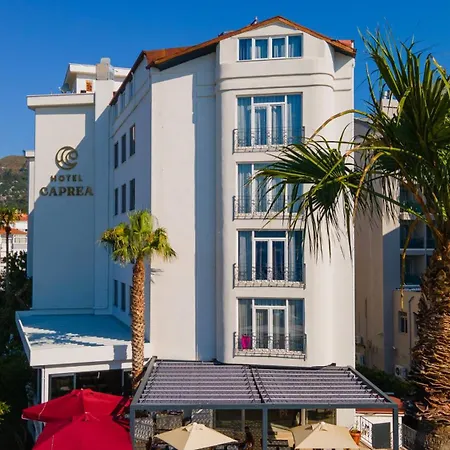 Hotel Caprea-3