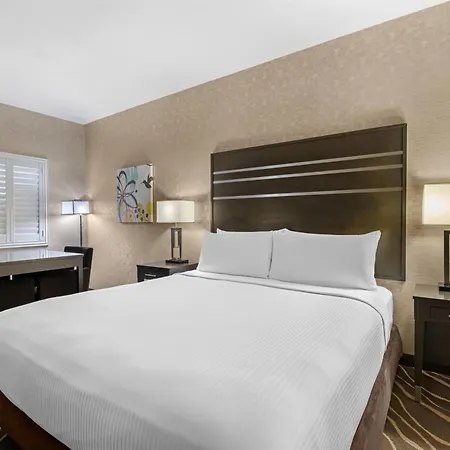 Best Western Plus Park Place Inn - Mini Suites-3