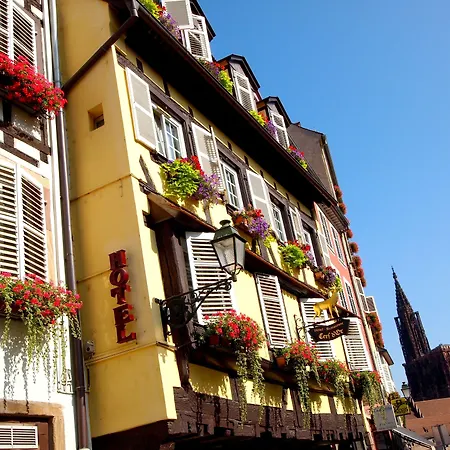 Logis Hotel Restaurant Au Cerf D'Or-3