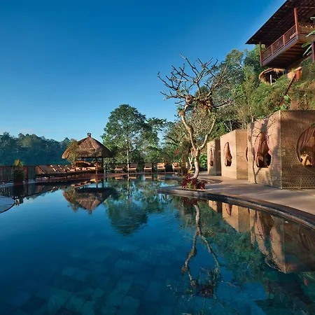 Nandini Jungle By Hanging Gardens-3