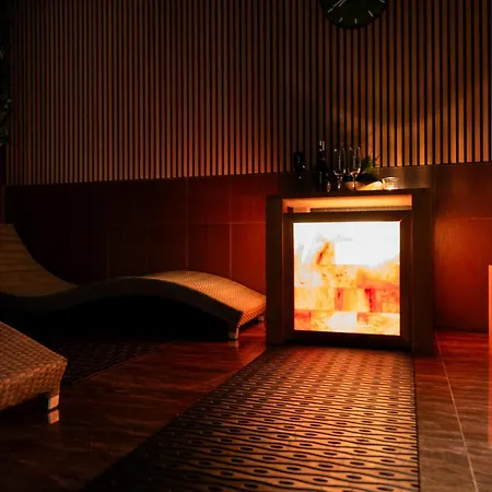 Premium Business Hotel Bratislava-3