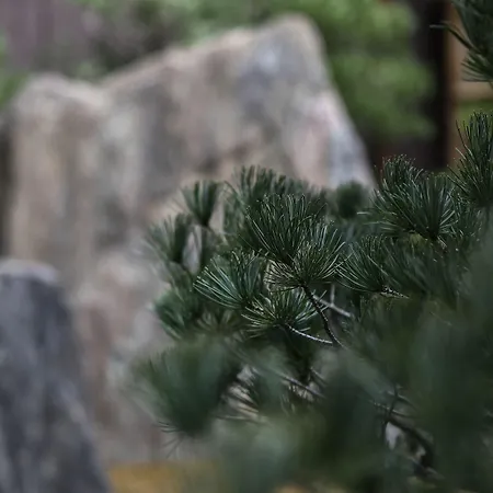 The Hiramatsu Kyoto-3