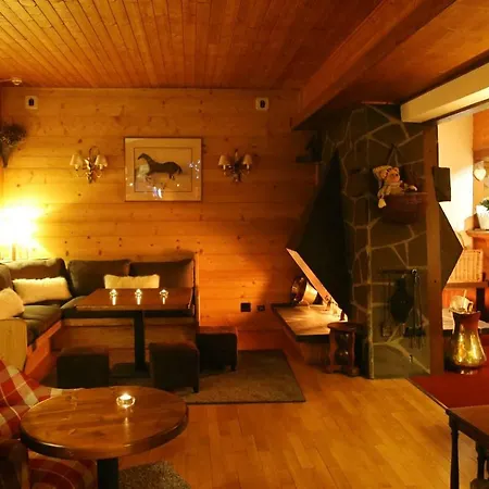 Hotel & Spa Le Dahu-3