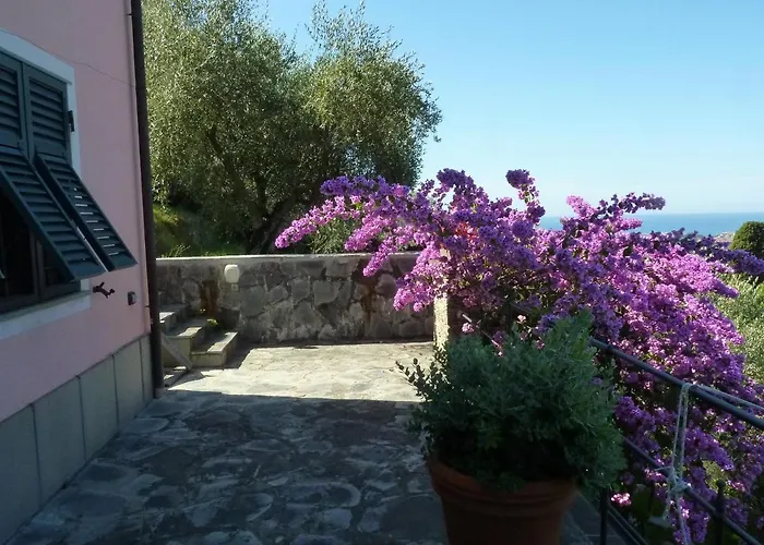 la gatta sul sentiero