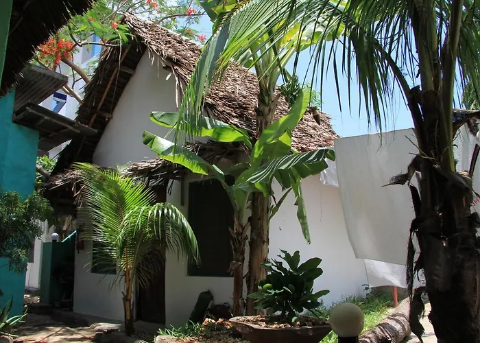 Homeland Swahili Lodge Nungwi Backpacker Apartments Budget