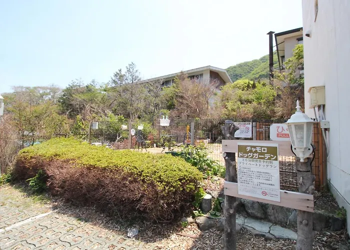 Hakone Gora Guam Dog