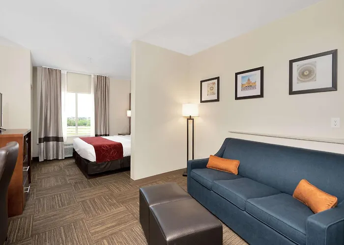 Comfort Suites University