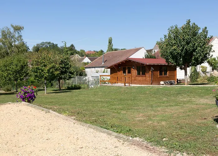 Le Sarcinoé