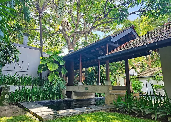 Havelock Bungalow - Live Fire Cooking - Enjoy 10 Percent Off At Gini Outdoor Kitchen