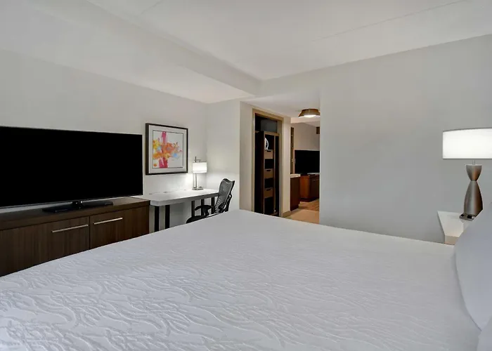 Hilton Garden Inn Detroit Metro Airport