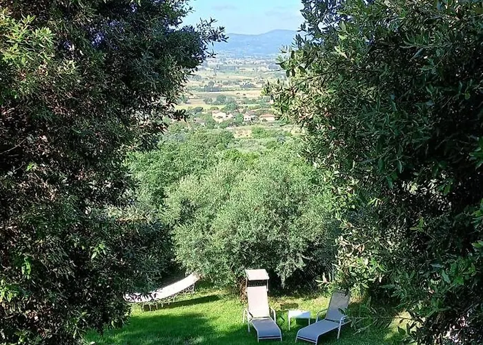 Domus Antiqua Bed & Breakfast