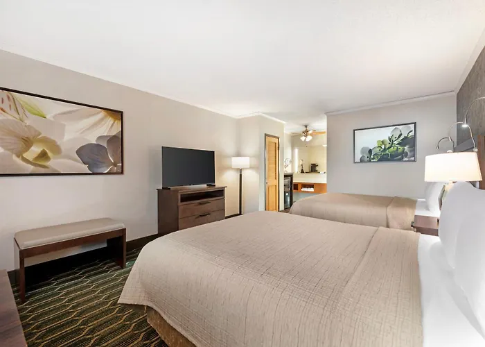 Best Western Plus Black Oak