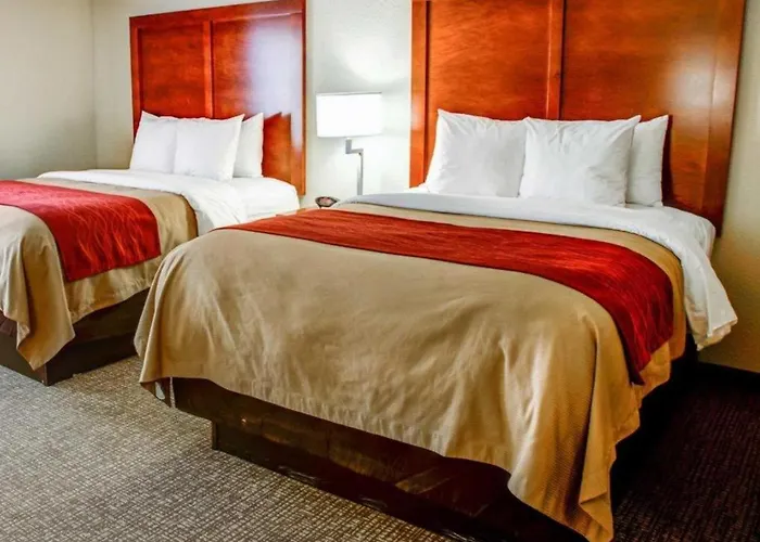 Comfort Inn Bessemer Birmingham South