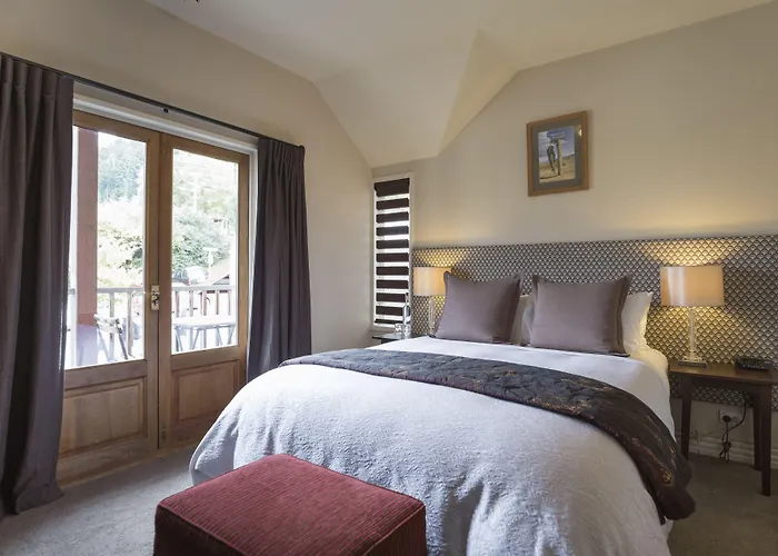 The Dairy Hotel Queenstown, A Naumi Chapter