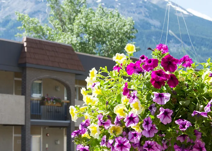 Maligne Lodge