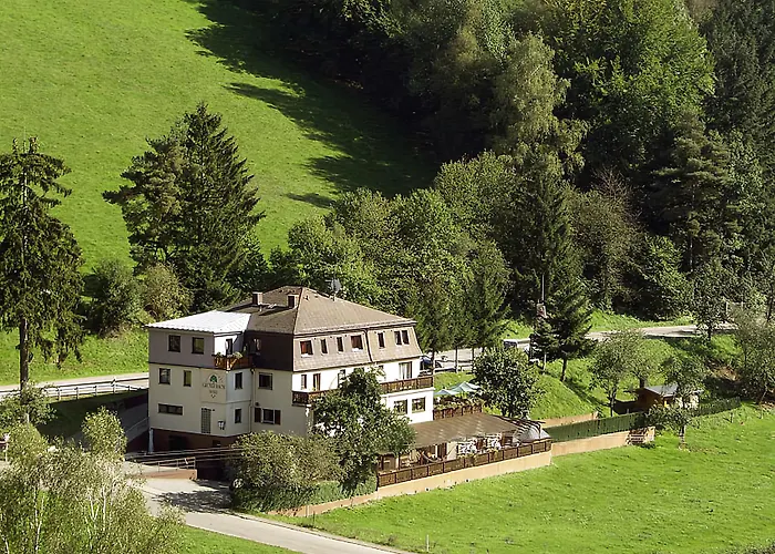 Hotel Gruener Baum Mit Restaurant & Wellness