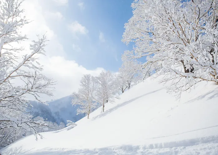Hotel Resort Inn Niseko
