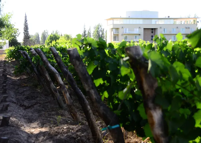 Hotel Finca Hermitage