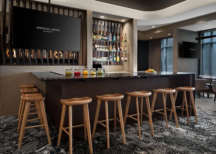 Springhill Suites By Marriott Kalamazoo Portage