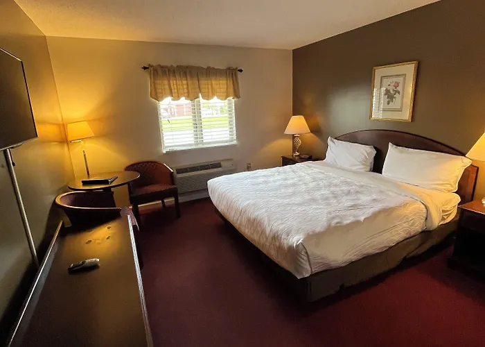 Webb'S Hotel