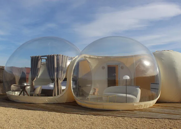 Wine Bubble