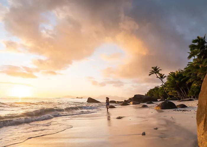 Niva Labriz Seychelles