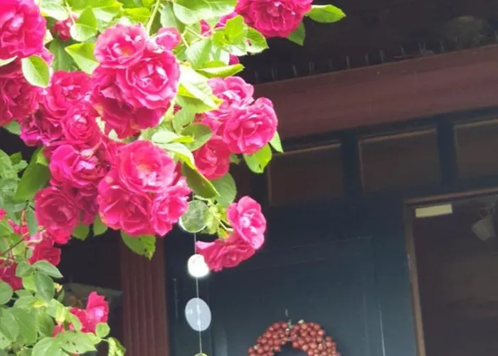 Woodstock B&B & Studio Apartments