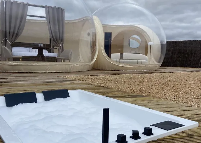 Wine Bubble