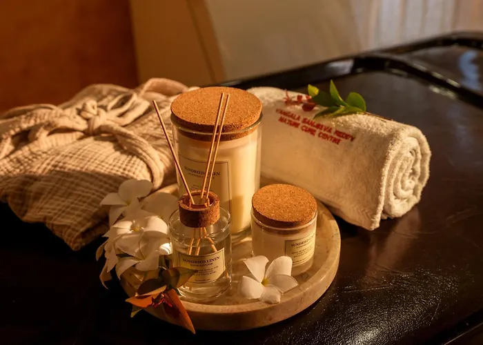 Vsr Vriksha Naturopathy Wellness Resort