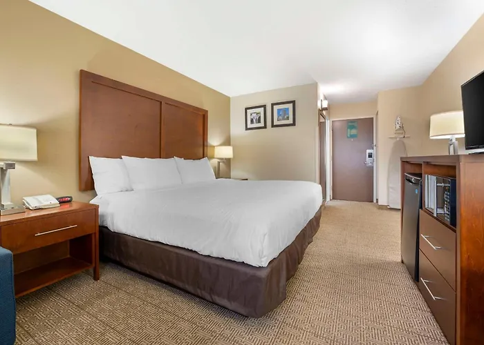 Comfort Inn & Suites Indianapolis Northwest - College Park