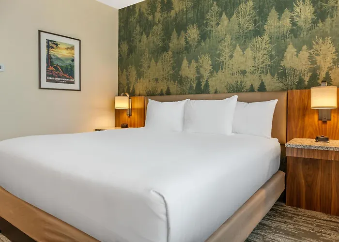 Drury Plaza Hotel Nashville Southeast Century Farms